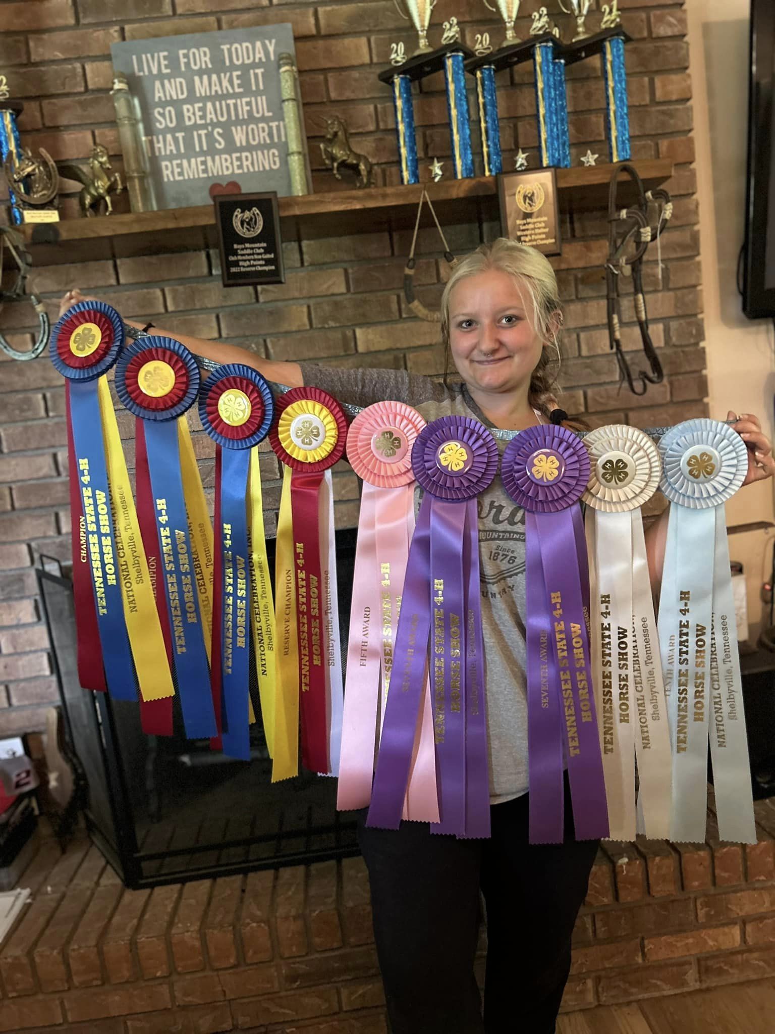 local-equestrian-wins-big-at-state-4-h-horse-show-historic-union-county