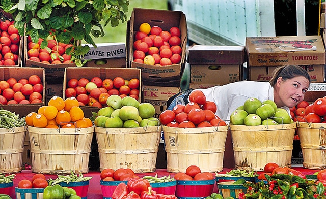 2021 Grainger County Tomato Festival | Historic Union County