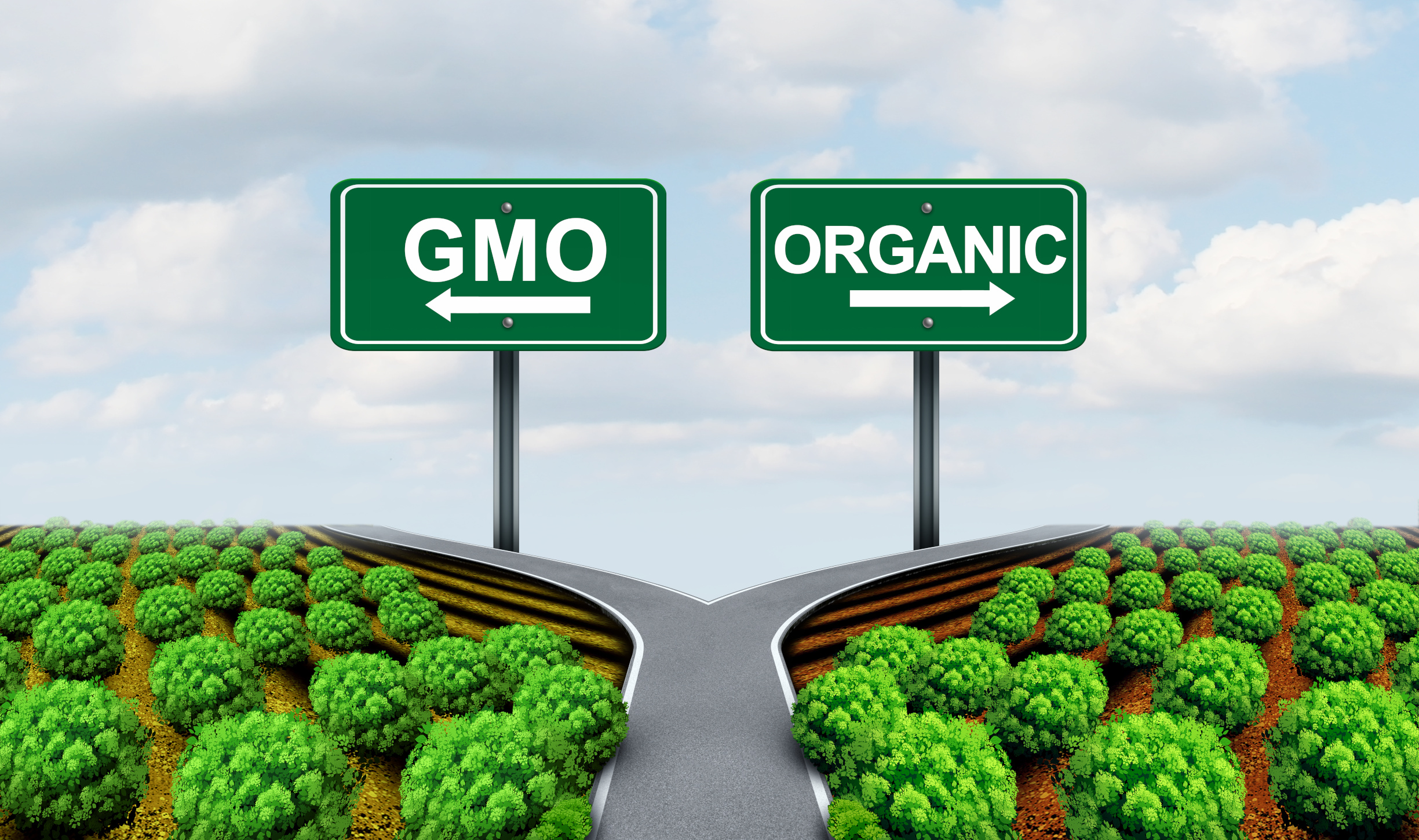 another-opinion-about-genetically-modified-crops-historic-union-county