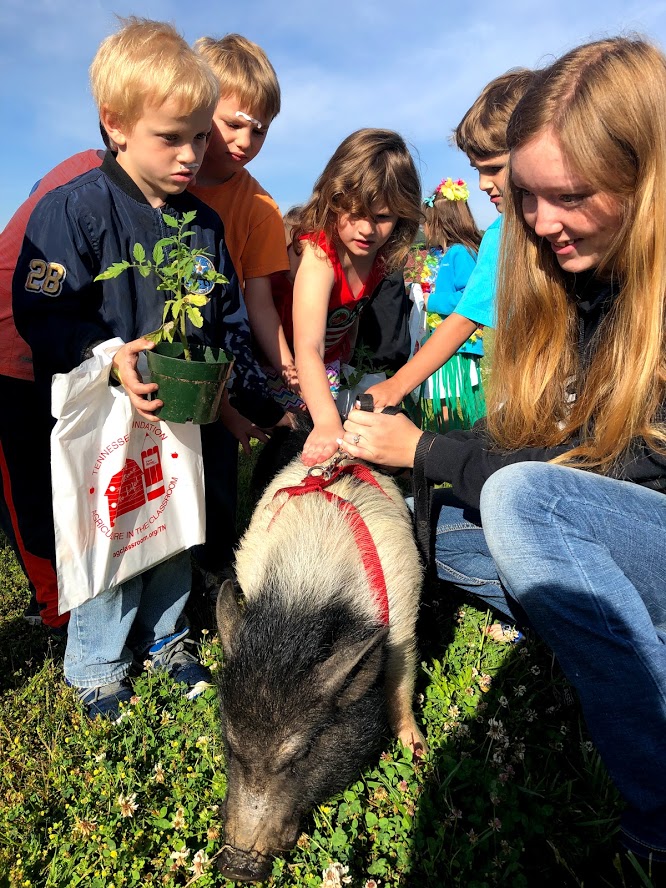 Farm Fresh Fun at Paulette Elementary School Historic Union County