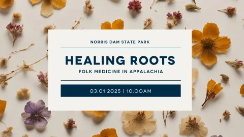 Healing Roots: Folk Medicine in Appalachia