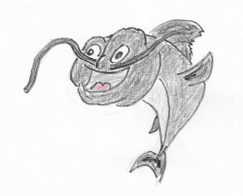 Artwork by Shirley McMurtrie Cat fish drawing by Shirley McMurtrie