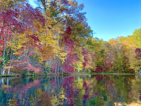 Photo by Steve Roark How bright the fall colors will be depends a lot on the weather leading up to mid-October