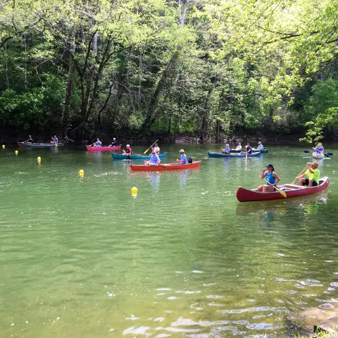 Powell River at the Regatta