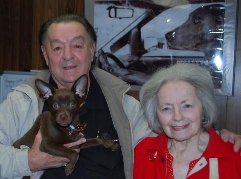 Earl and Judy Stowers with Lucky the pup stand in front of a photo of their Weimarener, Sasha. Earl says Sasha is driving his van and making a left-hand turn.