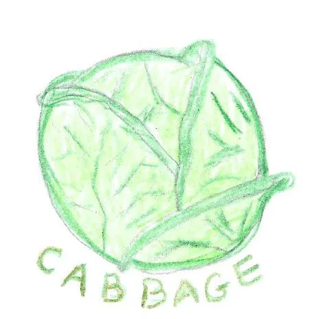 Scalloped Cabbage