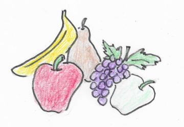 Artwork by Shirley McMurtrie Autumn Fruit Salad Artwork by Shirley McMurtrie