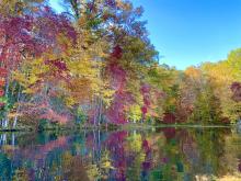 How bright the fall colors will be depends a lot on the weather leading up to mid-October