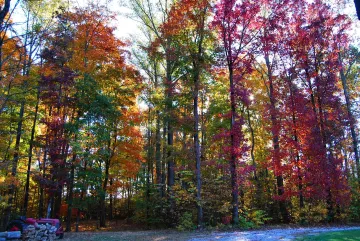 Falling for Fall in Tennessee