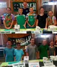 4-H at the Fair