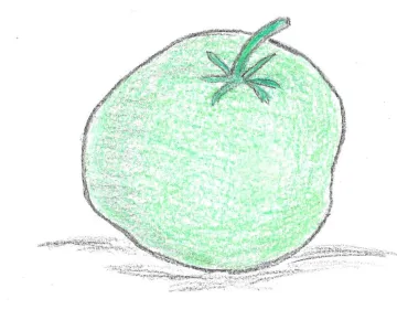 GREEN TOMATO